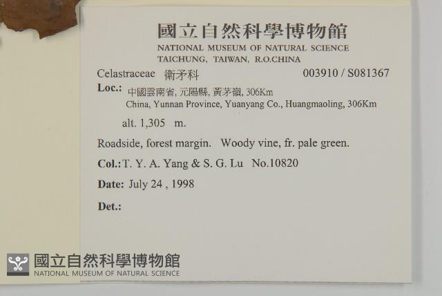 登錄號:S081367藏品圖，第2張