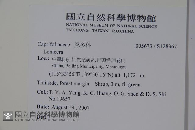 登錄號:S128367藏品圖，第2張