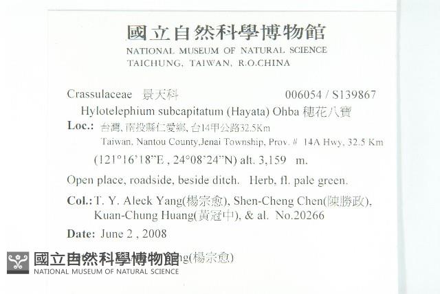 穗花八寶藏品圖，第2張