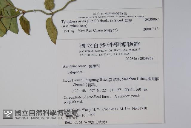 鷗蔓藏品圖，第2張