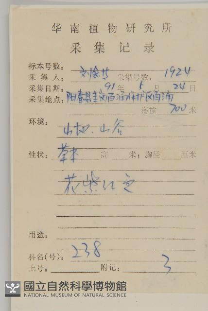 小薊藏品圖，第2張