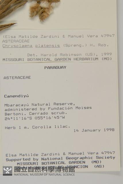 登錄號:S080567藏品圖，第2張