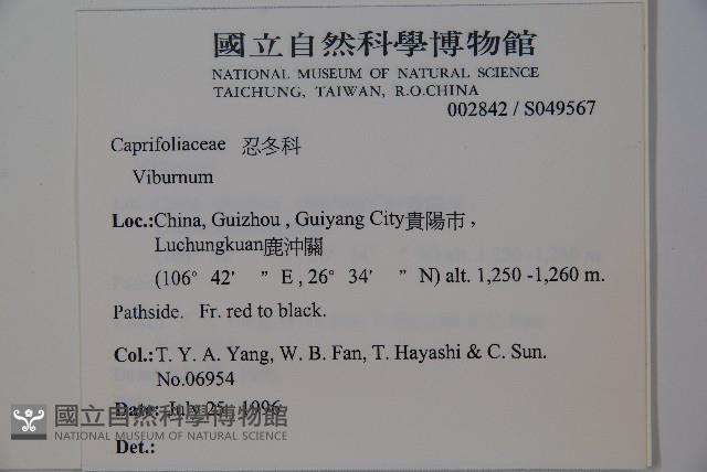 登錄號:S049567藏品圖，第2張