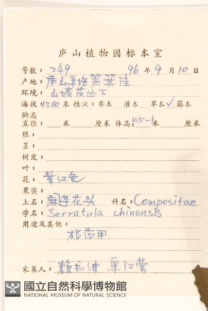 華麻花頭藏品圖，第2張