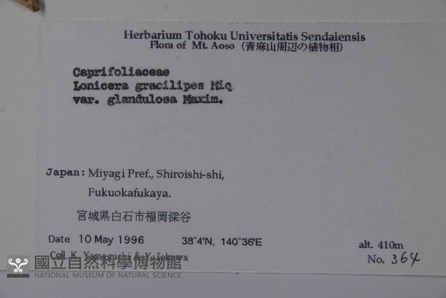 登錄號:S058647藏品圖，第2張