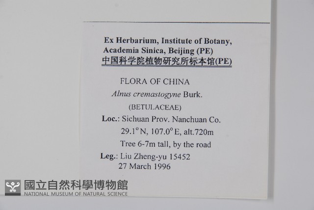 榿木藏品圖，第2張