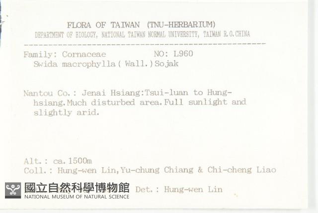 梜木藏品圖，第2張