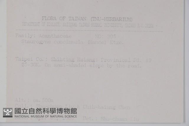 哈哼花藏品圖，第2張