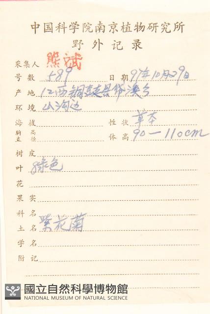 一枝香藏品圖，第2張