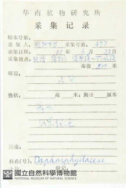 俄氏虎皮楠、蘭嶼虎皮楠、虎皮楠藏品圖，第2張