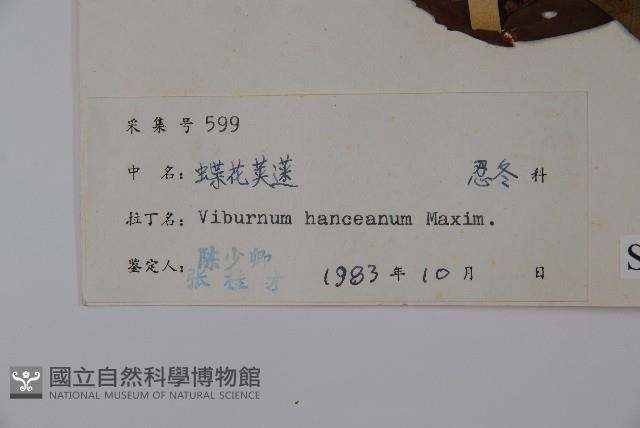 蝶花莢迷藏品圖，第2張