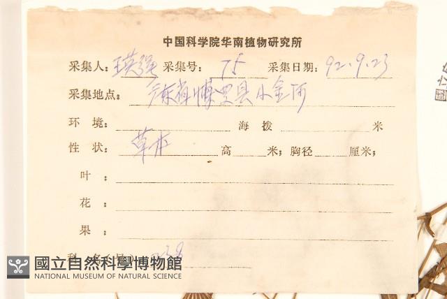 閩粵千里光藏品圖，第2張