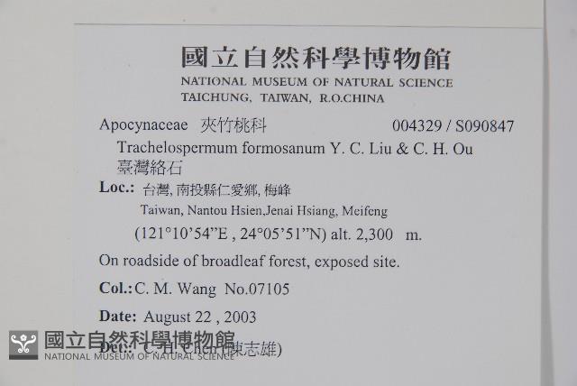 臺灣絡石藏品圖，第2張