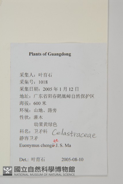 登錄號:S128847藏品圖，第2張