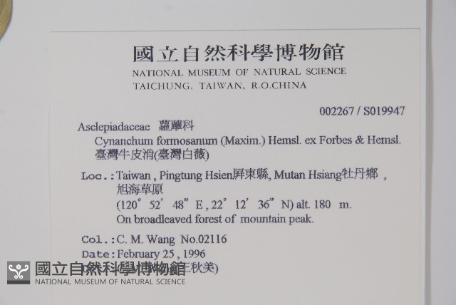 臺灣牛皮消、臺灣白薇藏品圖，第2張