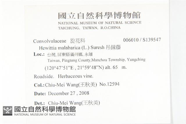 吊鐘藤藏品圖，第2張