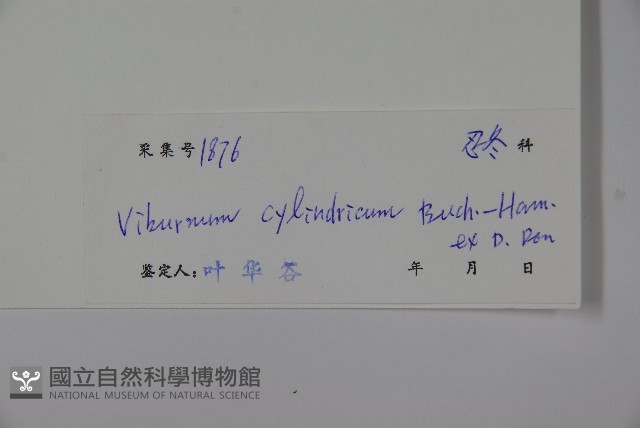 水紅木藏品圖，第2張
