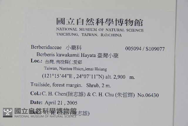 臺灣小蘗藏品圖，第2張