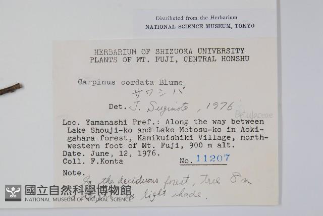 千金榆藏品圖，第2張