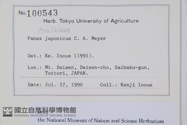 竹節參藏品圖，第2張