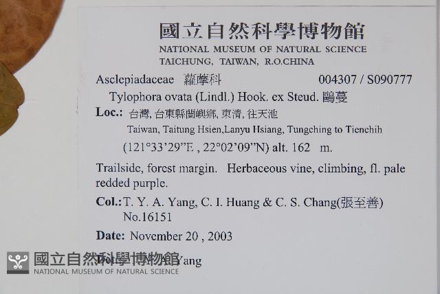 鷗蔓藏品圖，第2張