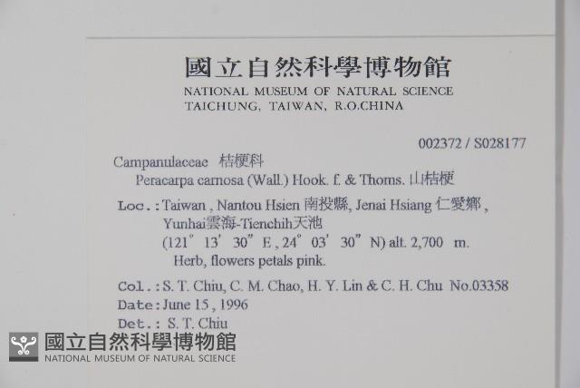 山桔梗藏品圖，第2張