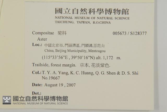 登錄號:S128377藏品圖，第2張