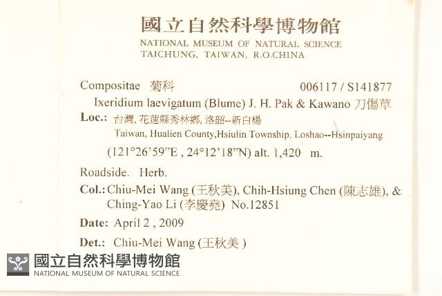 刀傷草藏品圖，第2張