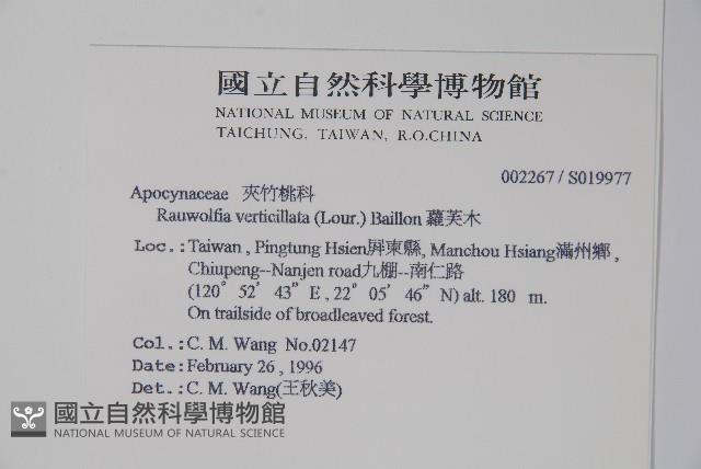 蘿芙木藏品圖，第2張