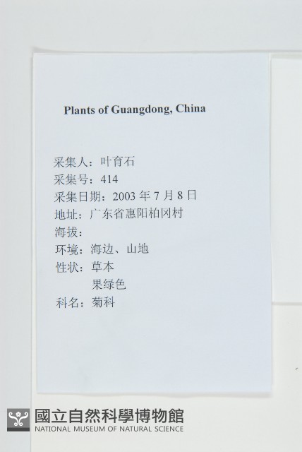 蒼耳藏品圖，第2張