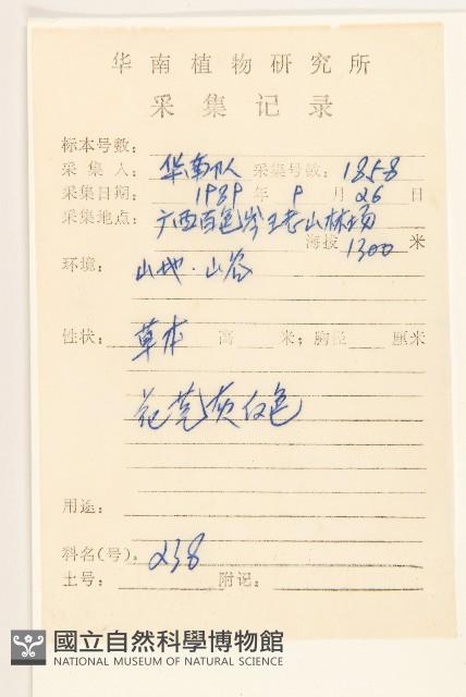 紅面番藏品圖，第2張