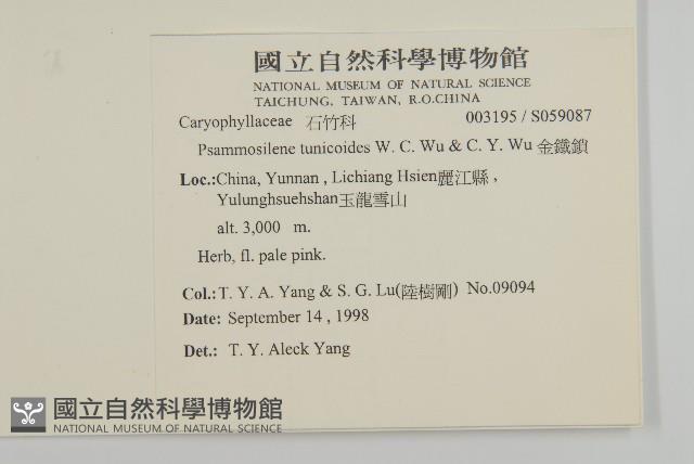 金鐵鎖藏品圖，第2張