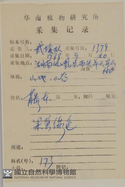 南蛇藤藏品圖，第2張