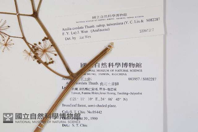 登錄號:S082287藏品圖，第2張