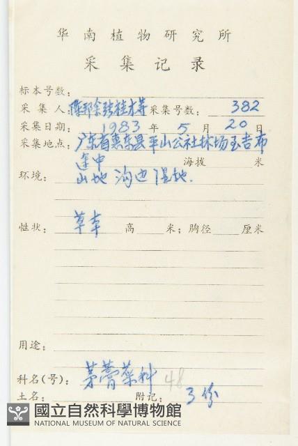 金錢草、錦地羅藏品圖，第2張