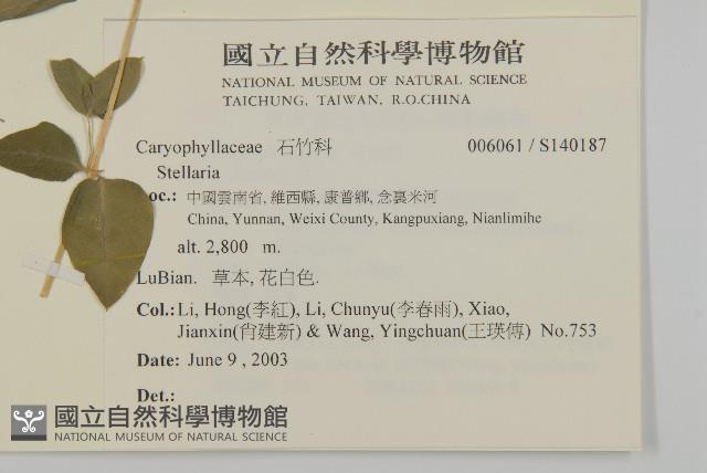 登錄號:S140187藏品圖，第2張