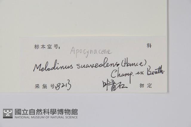 山橙藏品圖，第2張