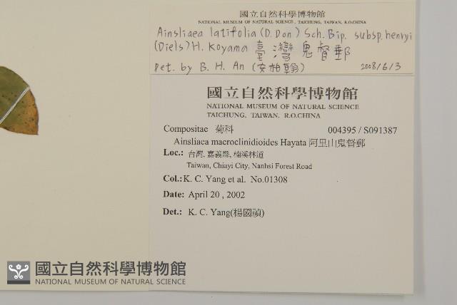 臺灣鬼督郵藏品圖，第2張