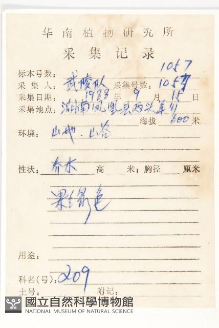 梜木藏品圖，第2張