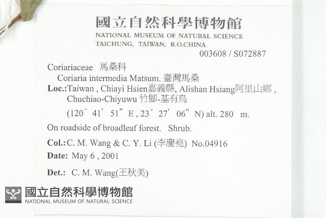 臺灣馬桑藏品圖，第2張