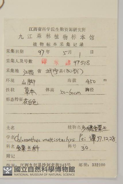 多穗金粟蘭藏品圖，第2張