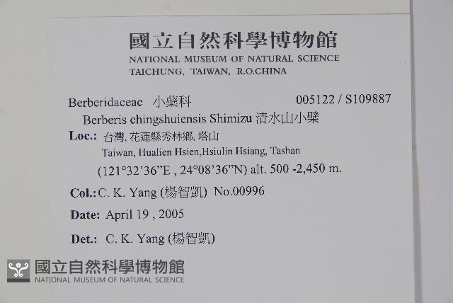 清水山小檗藏品圖，第2張