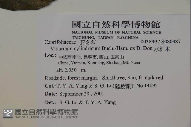 水紅木藏品圖，第2張