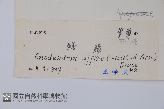 小錦蘭藏品圖，第2張