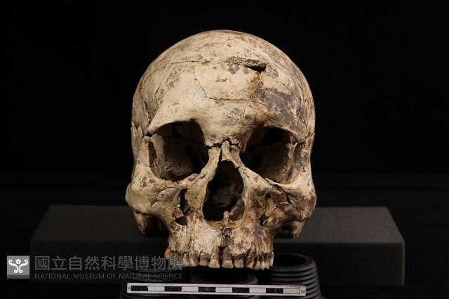 人骨藏品圖，第2張