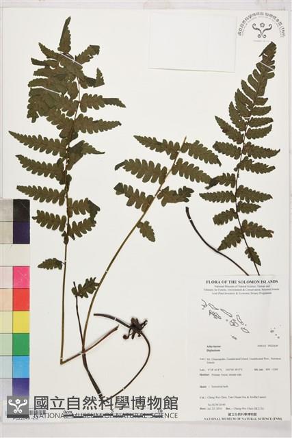 登錄號:P022649藏品圖，第2張