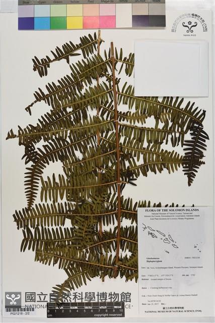 登錄號:P021218藏品圖，第2張