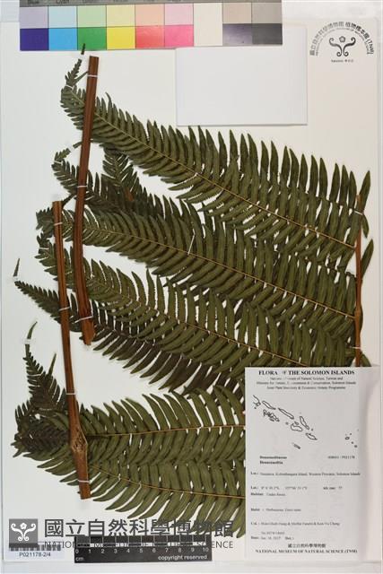 登錄號:P021178藏品圖，第2張