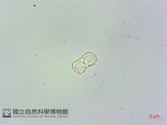 高山倒提壺藏品圖，第3張
