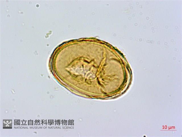 Accession Number:P011959 Collection Image, Figure 3, Total 8 Figures